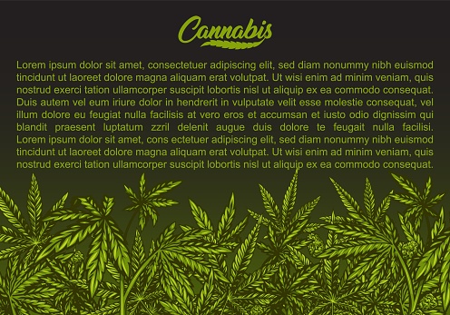 Cannabis green background with leaves. Vector abstract illustration.