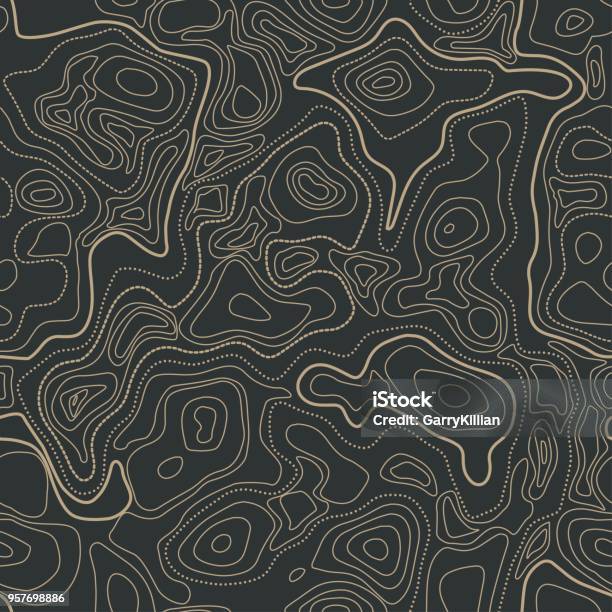 Vector Abstract Earth Seamless Relief Map Generated Conceptual Elevation Map Isolines Of Landscape Surface Elevation Geographic Map Conceptual Design Elegant Background For Presentations Stock Illustration - Download Image Now