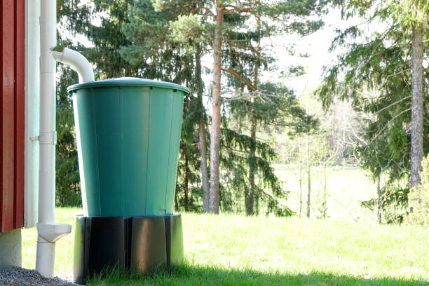 A large plastic barrel that collects rainwater stock photo
