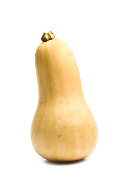 istock Natural orange pumkin 957709308