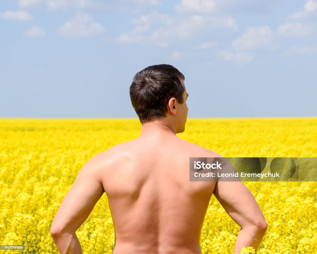 Free man in the field. The man raised his hands up. Field of flowering rape Free man in the field. The man raised his hands up. Field of flowering rape. Back Stock Photo