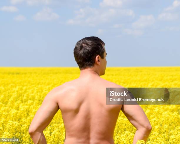 Free Man In The Field The Man Raised His Hands Up Field Of Flowering Rape Stock Photo - Download Image Now