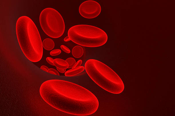 Red blood cells Red blood cells anemia photos stock pictures, royalty-free photos & images