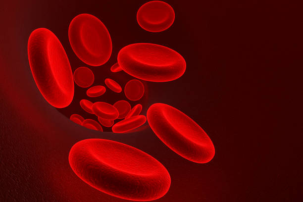 red blood cells - bloodstream imagens e fotografias de stock