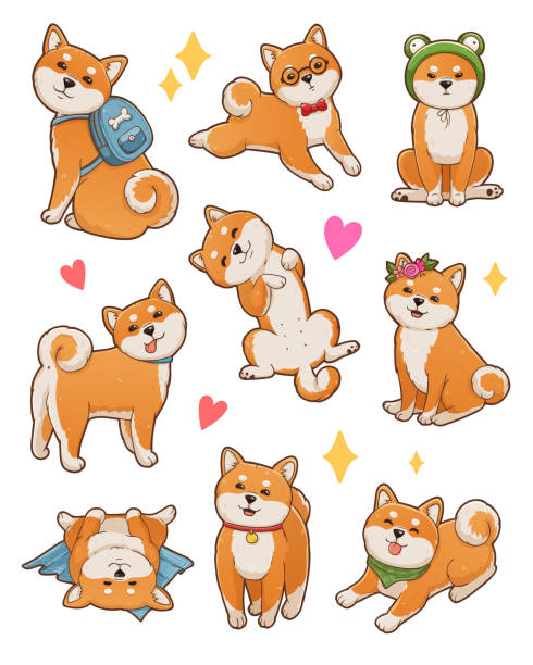 Shiba inu illustrations set. Cute and funny dog in different poses: sitting, standing, lying. Isolated on white shiba inu stock illustrations