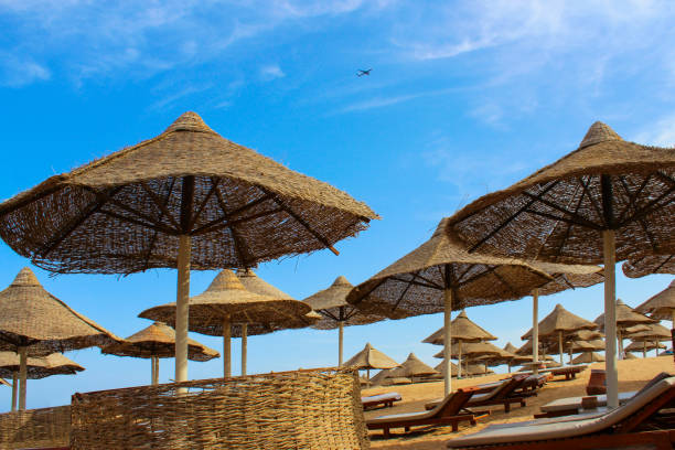 View of the beach on the red sea