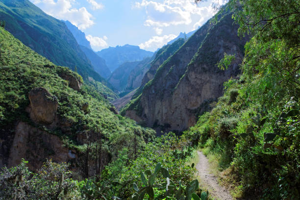 istock Colca Canyon in Arequipa Region 957739880