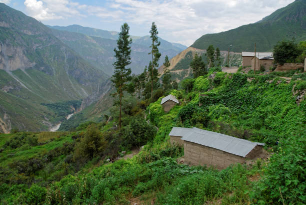 istock Colca Canyon in Arequipa Region 957740206