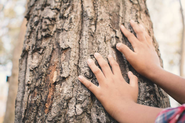 istock Close-Up Of Human Hands On Tree Trunk 957744184