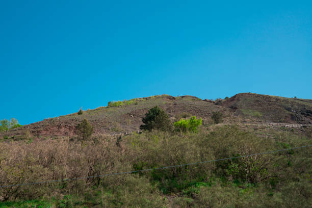 istock Vesuvius National Park, Campania, Italy 957744358