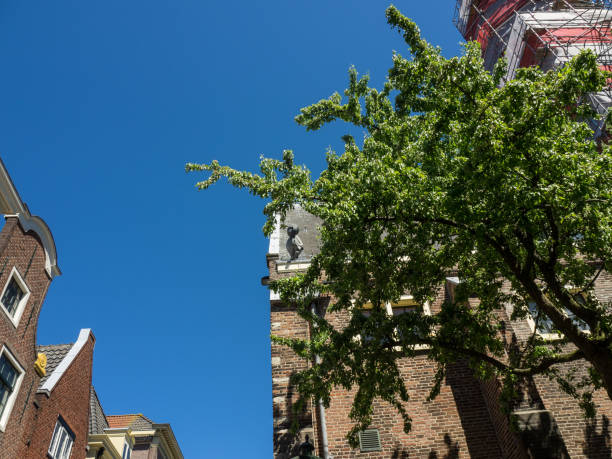 istock alkmaar in the netherlands 957749102