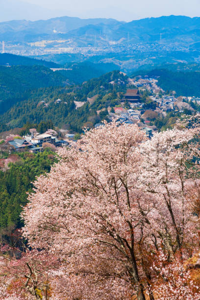 istock Nara's cherry blossoms, Spring Landscape in Yoshino Nara Japan 957760426