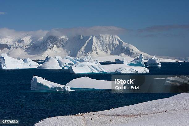 Antártida Ilha De Cuverville - Fotografias de stock e mais imagens de Antártida - Antártida, Ao Ar Livre, Branco