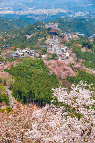 istock Nara's cherry blossoms, Spring Landscape in Yoshino Nara Japan 957765376