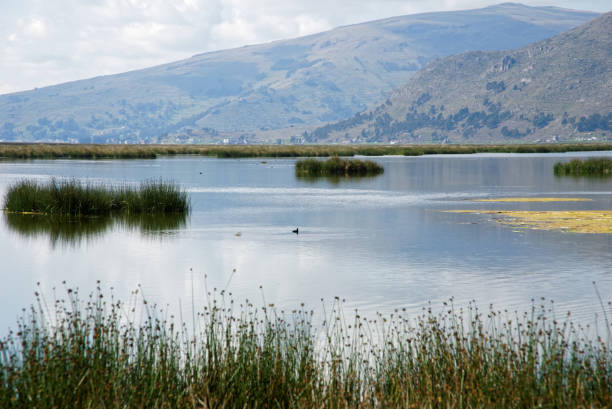 istock Lago titicaca  Boat Trip 957765552