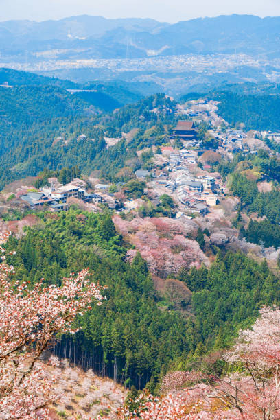 istock Nara's cherry blossoms, Spring Landscape in Yoshino Nara Japan 957768900