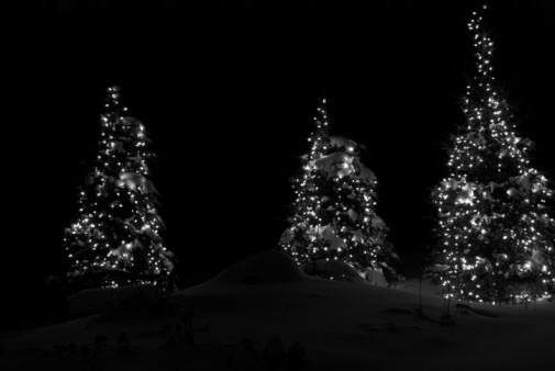 A black and white photo of three Christmas trees at night