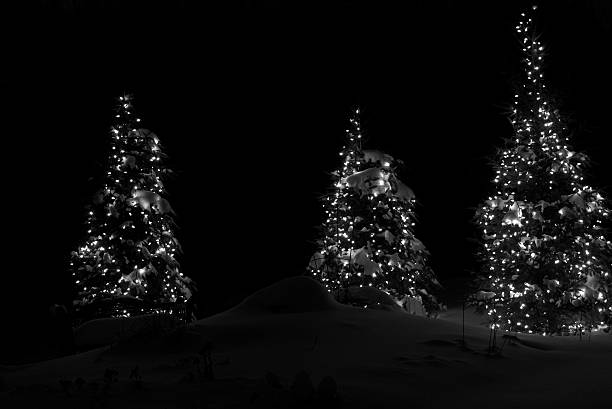 Black and white of three Christmas treees stock photo