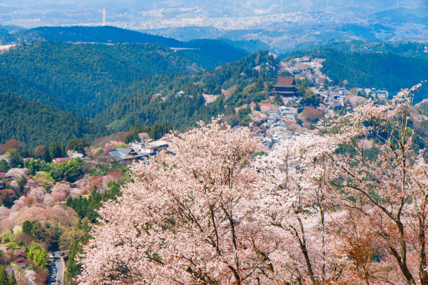 istock Nara's cherry blossoms, Spring Landscape in Yoshino Nara Japan 957770488
