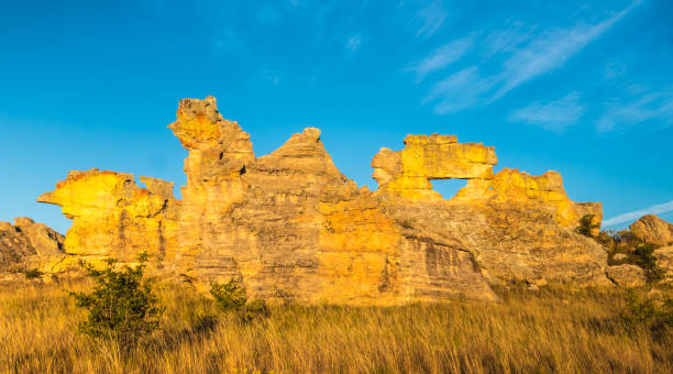 Stunning rock formations, Isalo National Park, Ihorombe region, Madagascar. Known for its wide variety of terrain, including sandstone formations, deep canyons, a palm-lined oases, and grassland, and rich wildlife impresionante región de roca formaciones, parque nacional de isalo, ihorombe, madagascar. conocida por su amplia variedad de terreno, incluyendo formaciones de arenisca, profundos cañones, un oasis de palmeras y pastizales y rica fauna silvestre