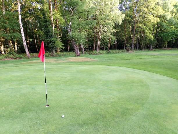 istock Golf green with flag and ball, Chorleywood Common 957781776