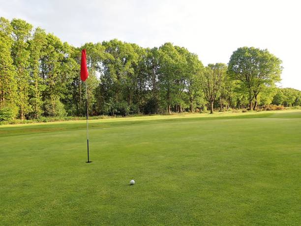 istock Golf green with flag and ball, Chorleywood Common 957781804
