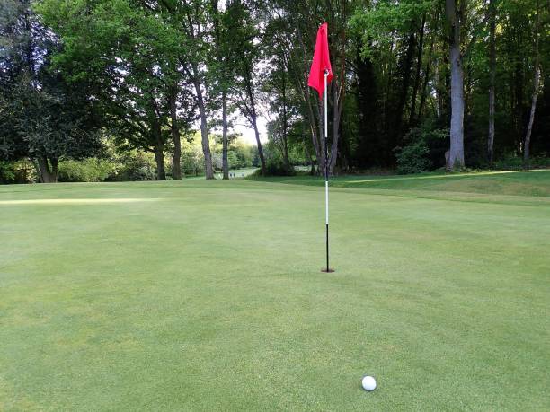 istock Golf green with flag and ball, Chorleywood Common 957781960