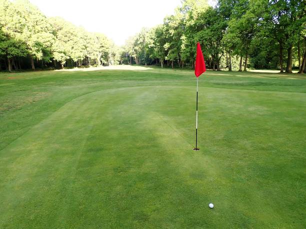 istock Golf green with flag and ball, Chorleywood Common 957781966