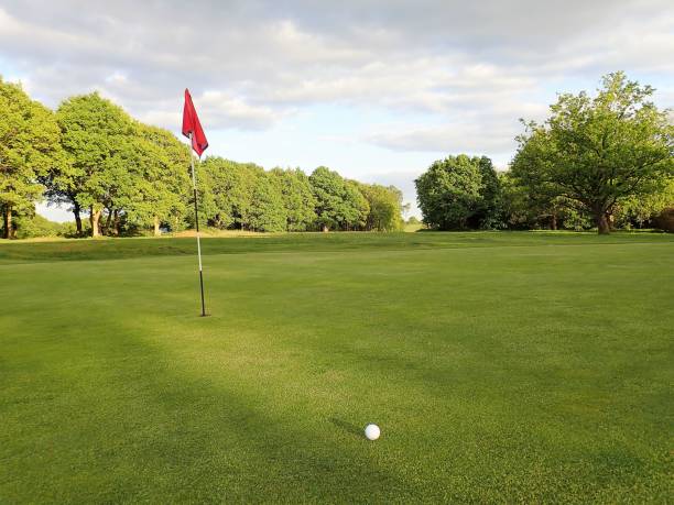 istock Golf green with flag and ball, Chorleywood Common 957782030
