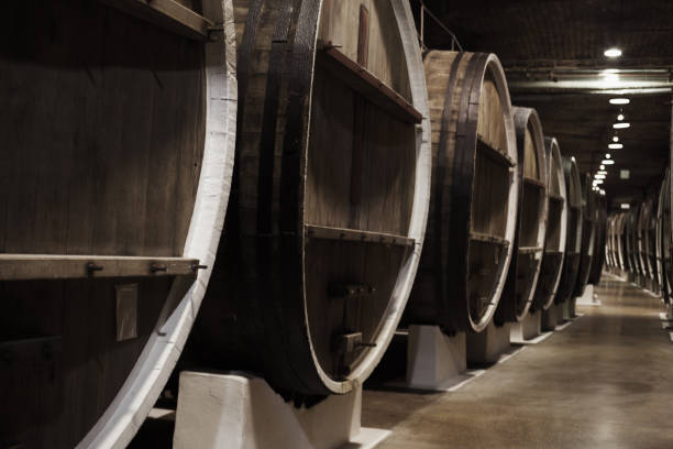 istock Large vintage wooden barrels in winery 957782682