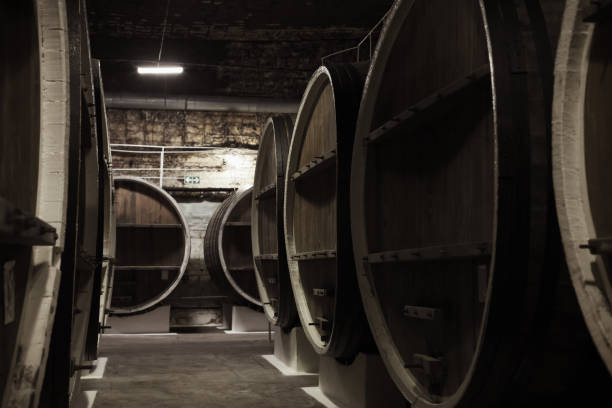 istock Vintage wooden barrels in dark winery 957782694