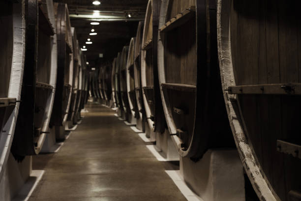 istock Vintage wooden barrels in winery basement 957782710