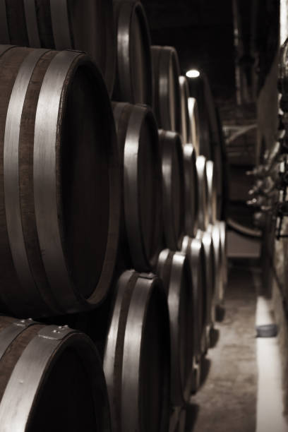 istock Wooden barrels in dark winery, close up 957782720