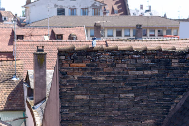 Red tiled rooftops in a town with television and radio antennae in an elevated view against a clear blue sky