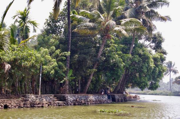 malerischen backwaters mit ländlichen kerala (indien) mit tropischen palmen, unberührte natur und eine wasserstraße führt zu kochi und alleppey - allepey stock-fotos und bilder