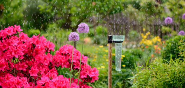 Rain gauge stock photo
