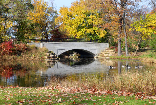 istock Autumn view in a city park. 957792196