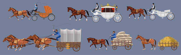 ilustraciones, imágenes clip art, dibujos animados e iconos de stock de horse-extracción de vehículo - cochero