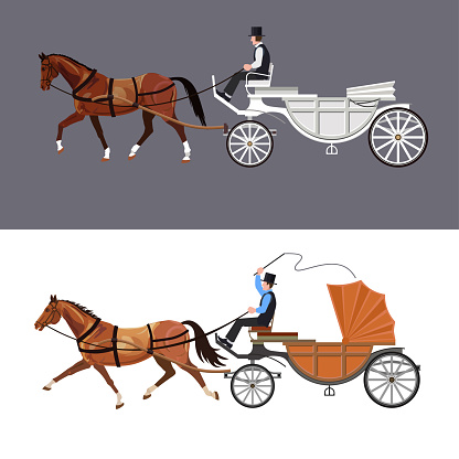 Set of vector horse carriage with bay horse and driver