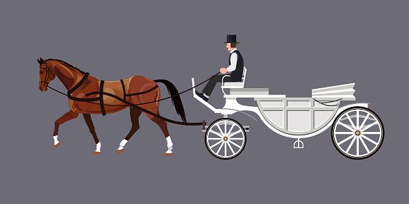 White carriage with bay horse and driver