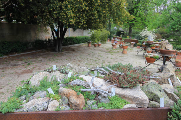 istock Botanical garden in Madrid, Real Jardin Botanico. Spain 957797542