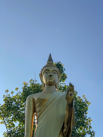 Buddha statue with tree and blue sky