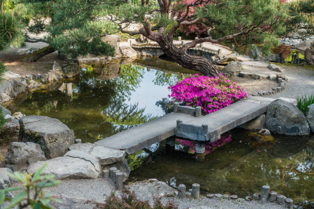 istock Japanese Garden Pond 957810856