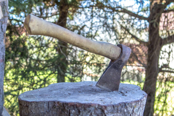 istock ax against the background of the forest 957815148
