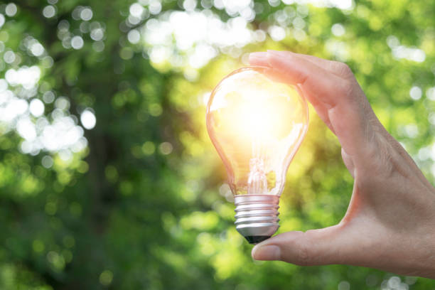 istock hand holding light bulb in nature on green background for energy concept. 957837462
