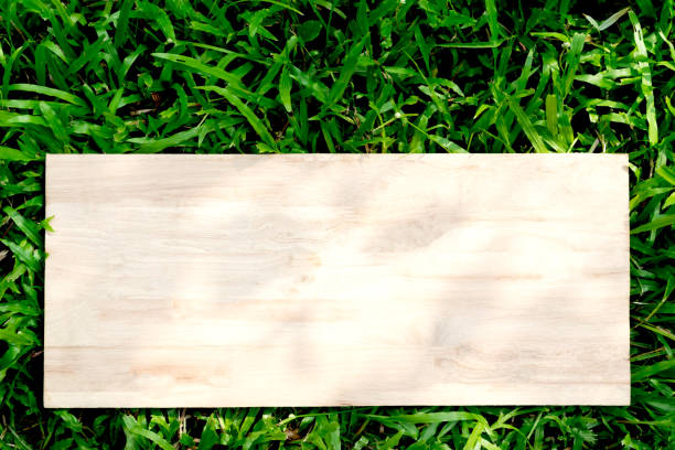 istock wooden on green grass for text or advertising concept. 957837614