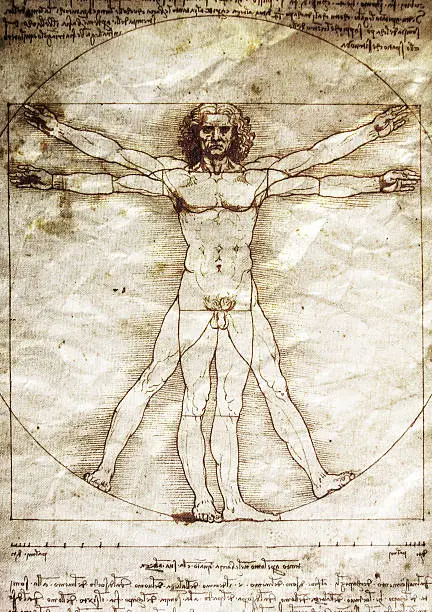 Photo of The Vitruvian Man by Leonardo da Vinci