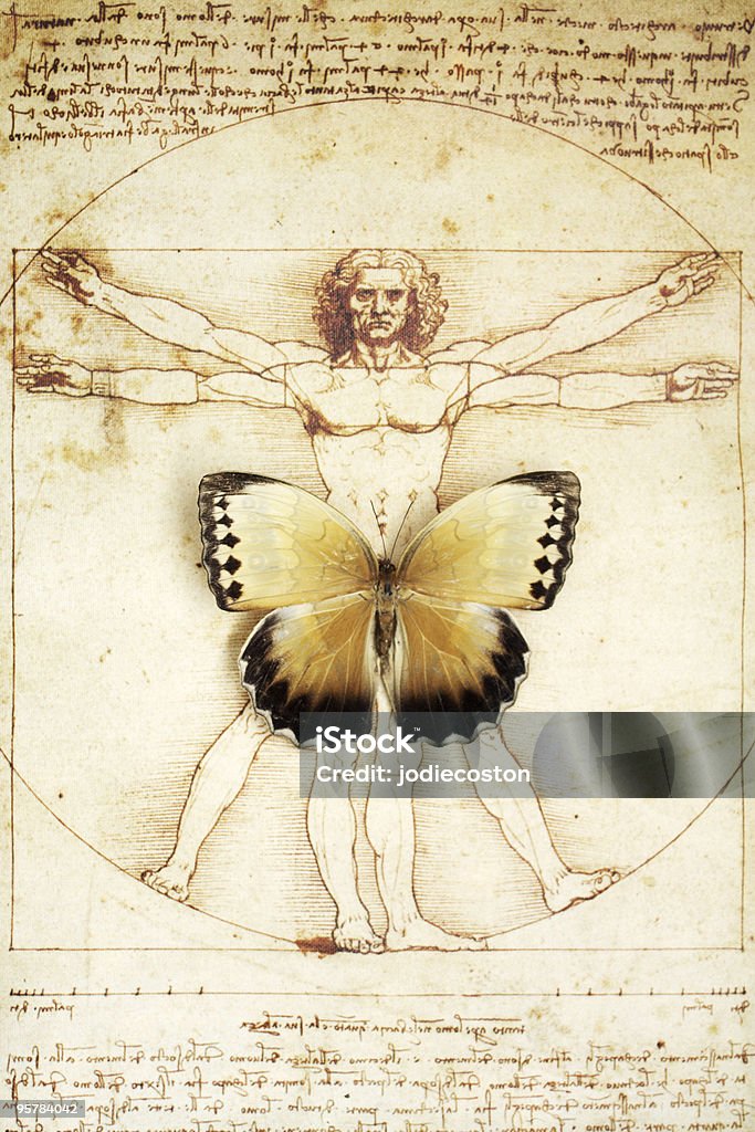 Schmetterling auf DaVinci Skizze eines Mannes - Lizenzfrei Leonardo da Vinci Stock-Foto