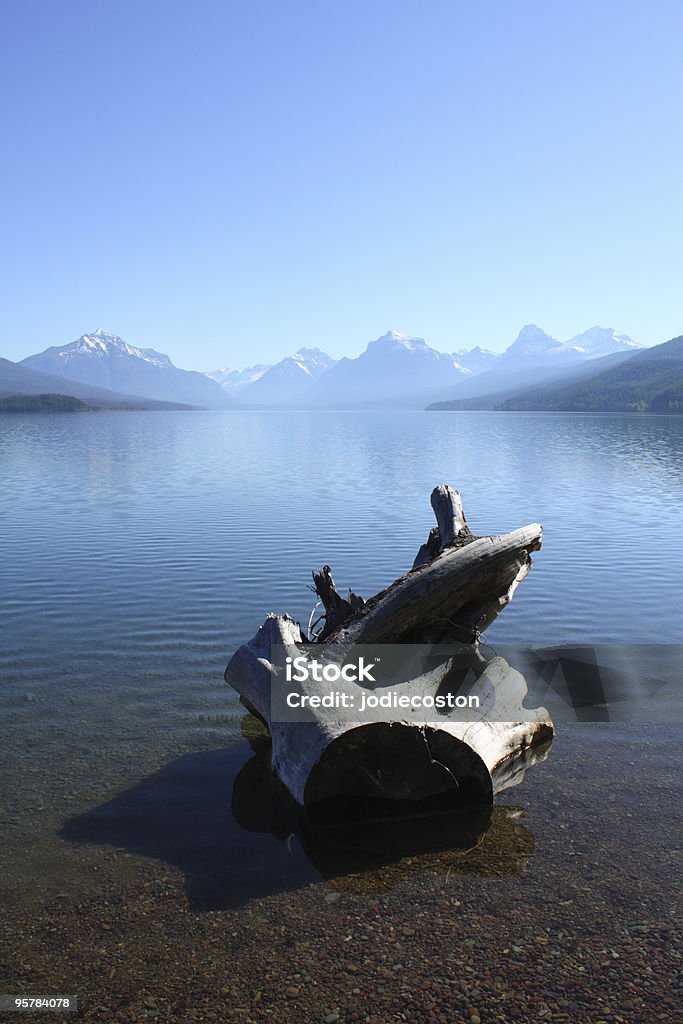 Baumstumpf im Wasser im Mountain lake - Lizenzfrei Baumstumpf Stock-Foto