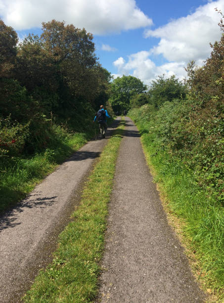 istock Hiking on a green path in Ireland 957841000
